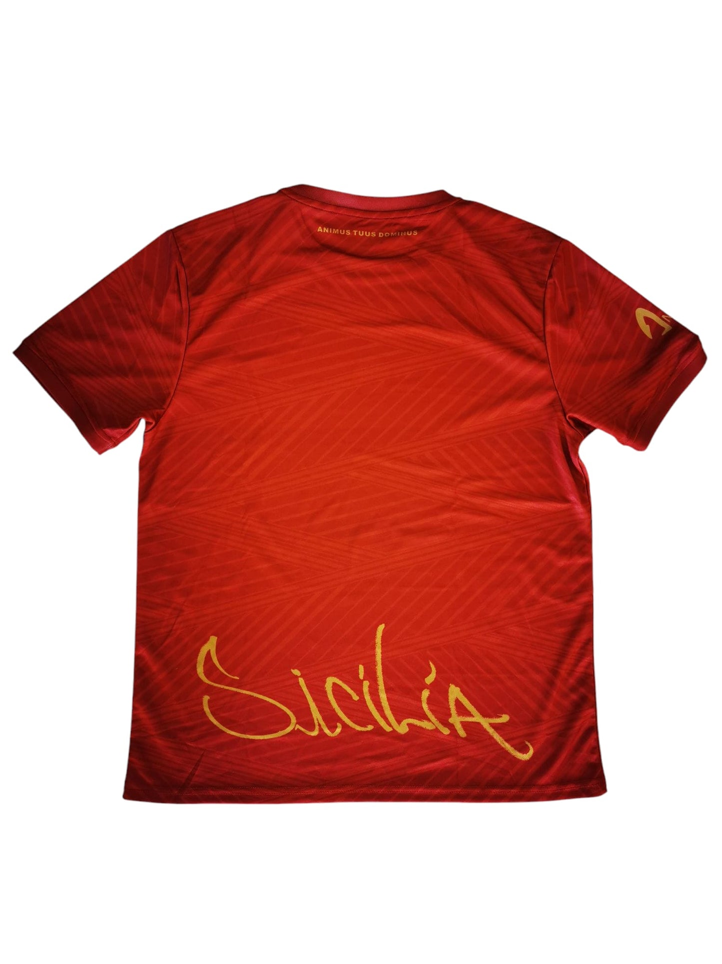 Maillot entrainement staff SICILIA FA