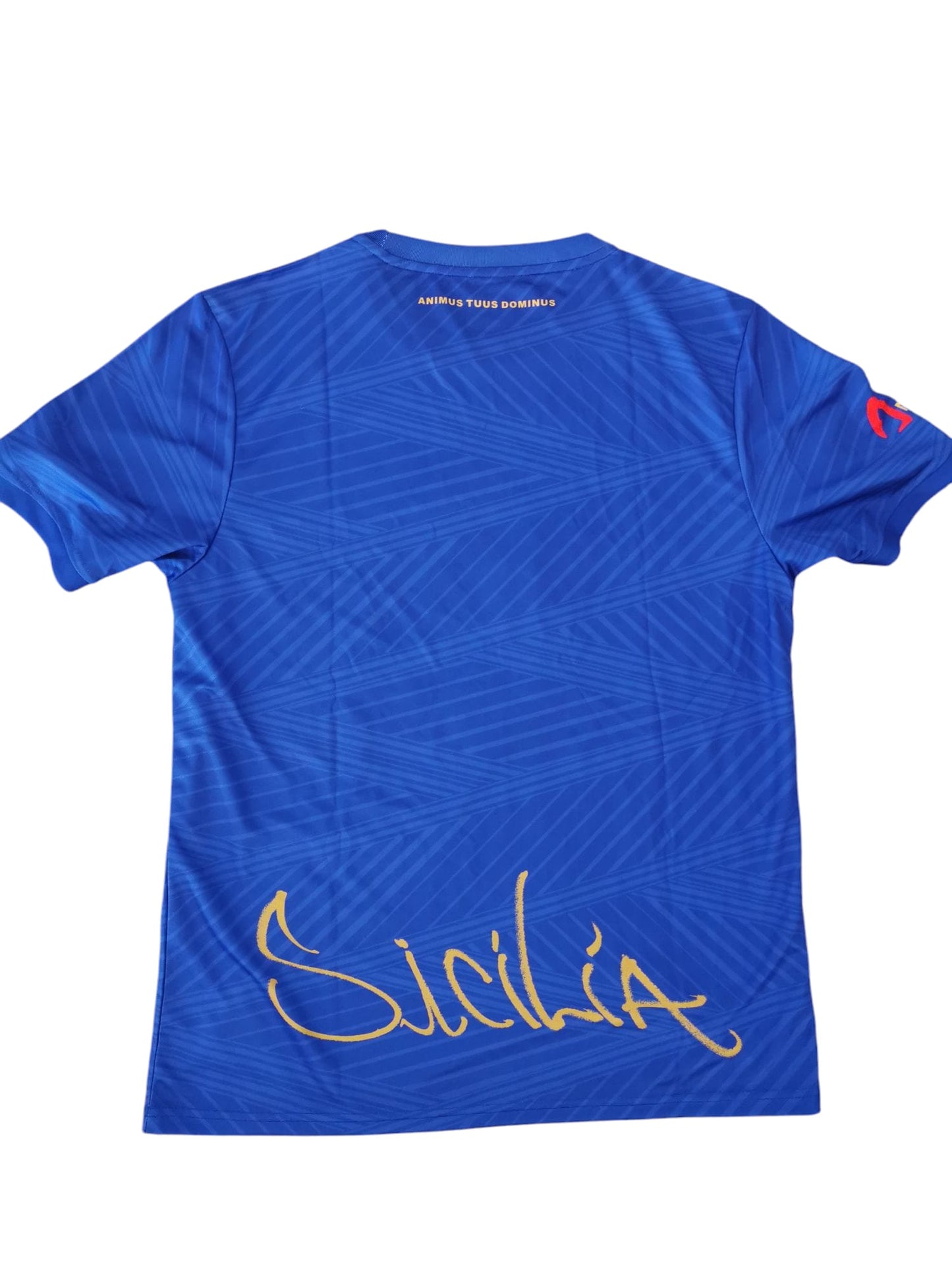 Maillot entrainement SICILIA FA GK