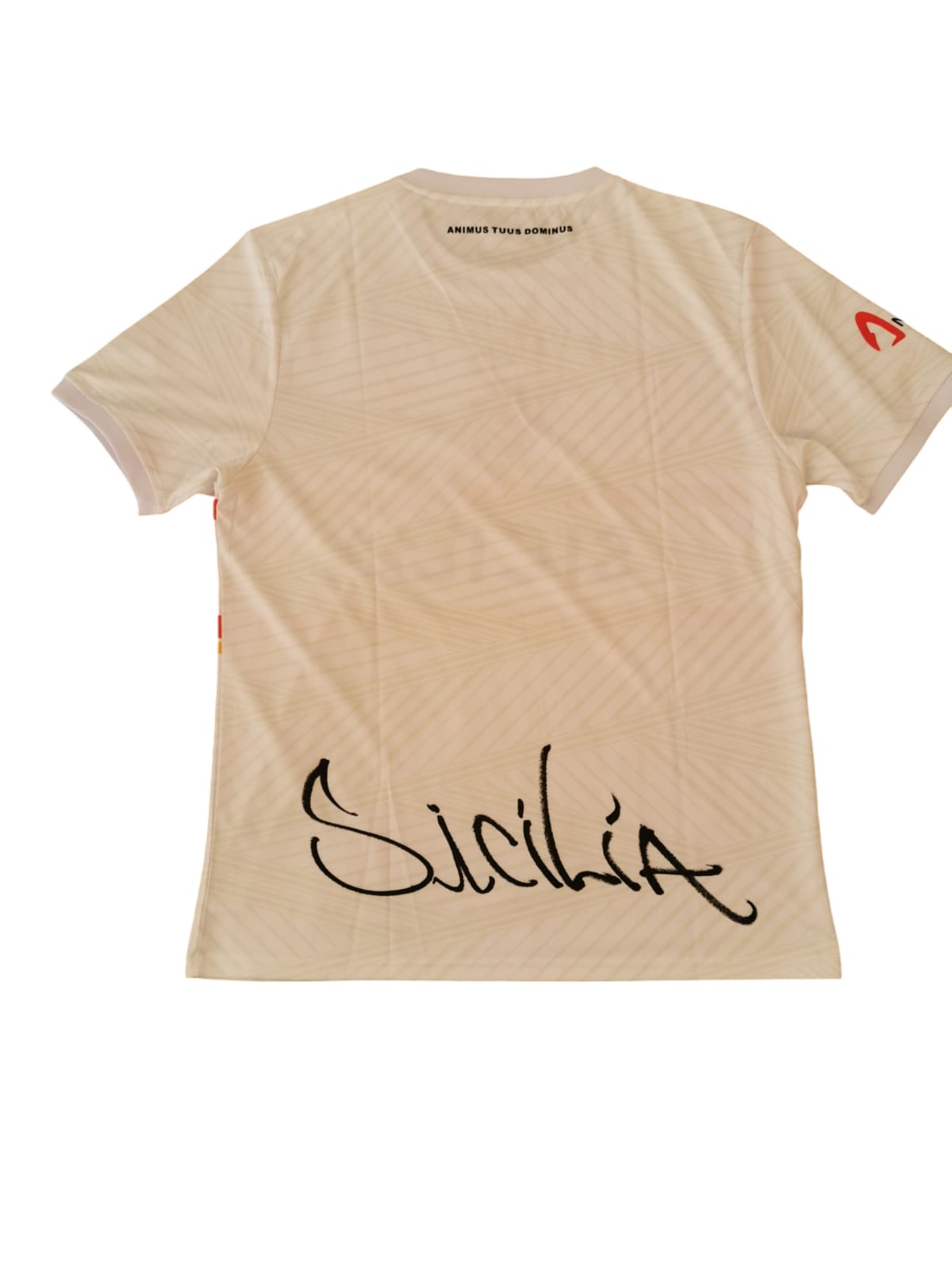 Maillot d'entrainement SICILIA FA joueurs