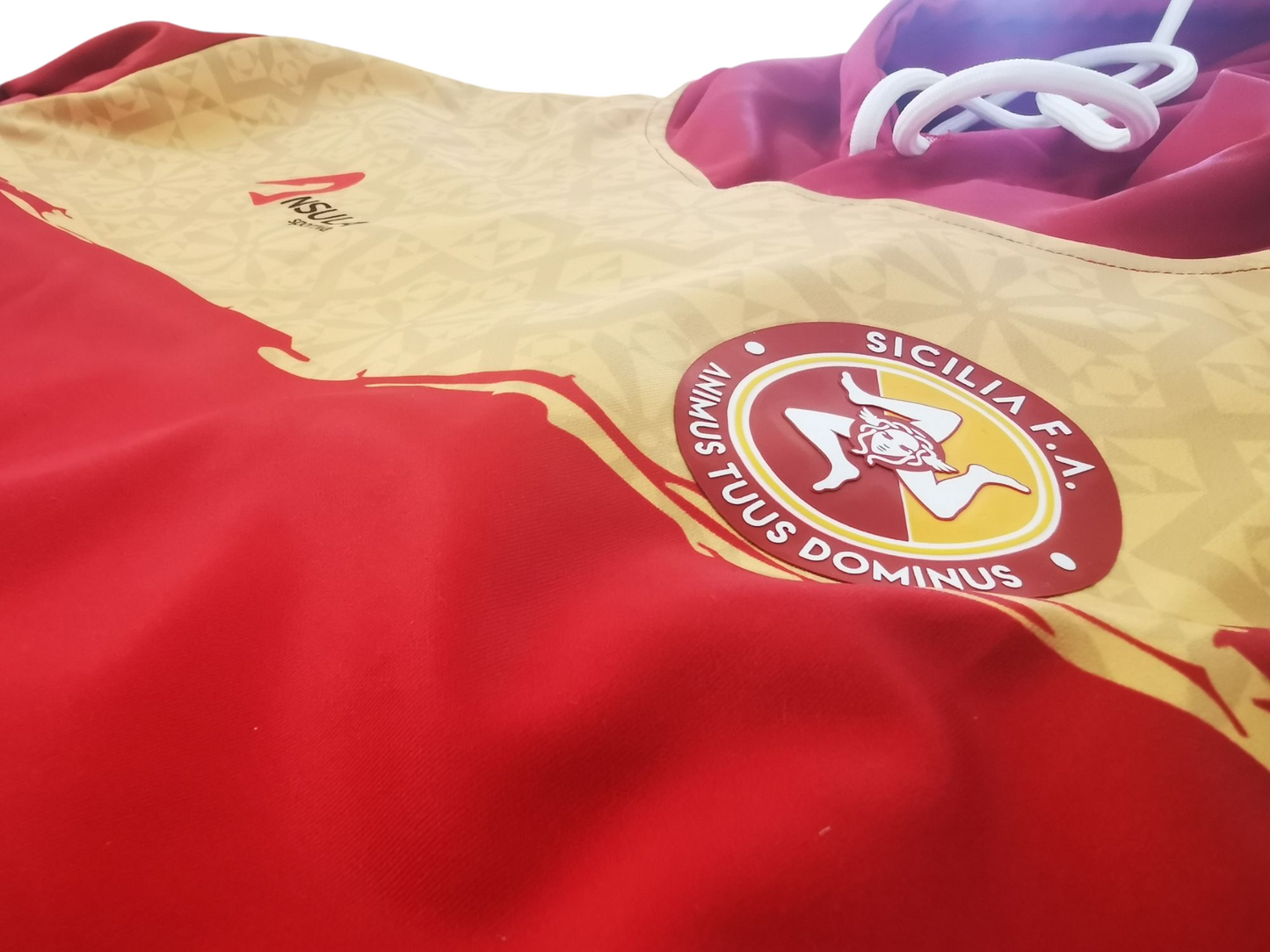 Sweatshirt à capuche SICILIA FA
